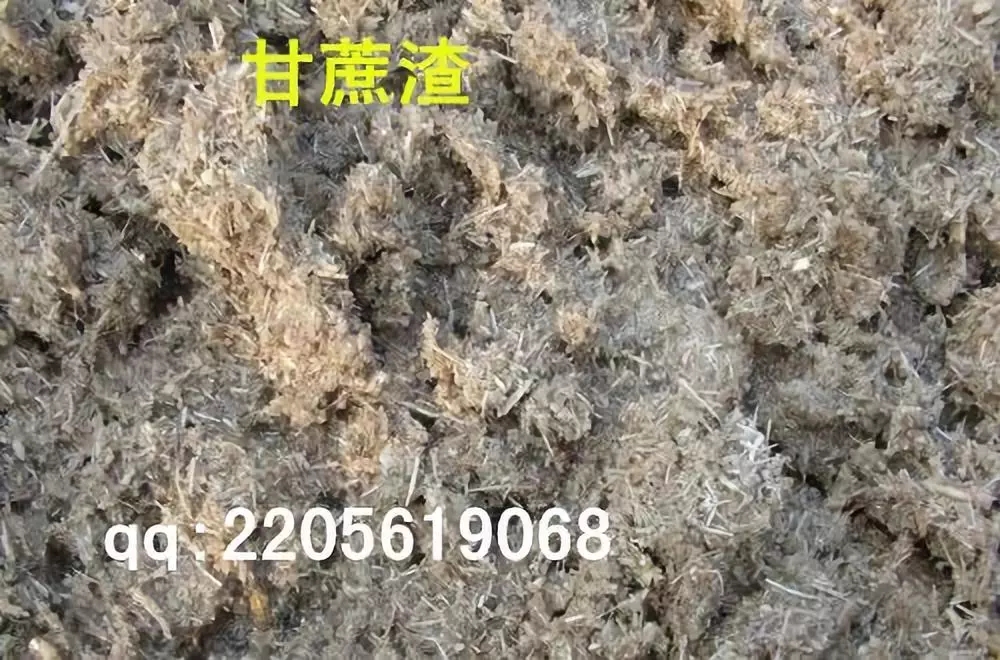 食用菌栽培技术学习班招生简介(图40)